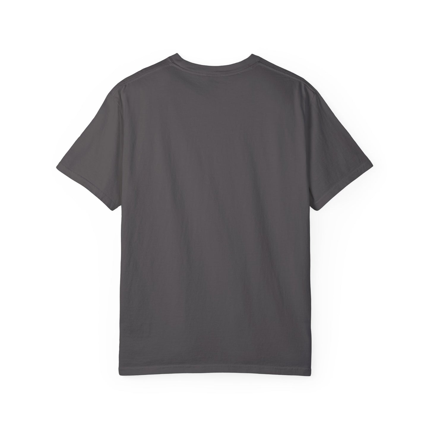 The Sober Life Unisex Garment-Dyed T-Shirt