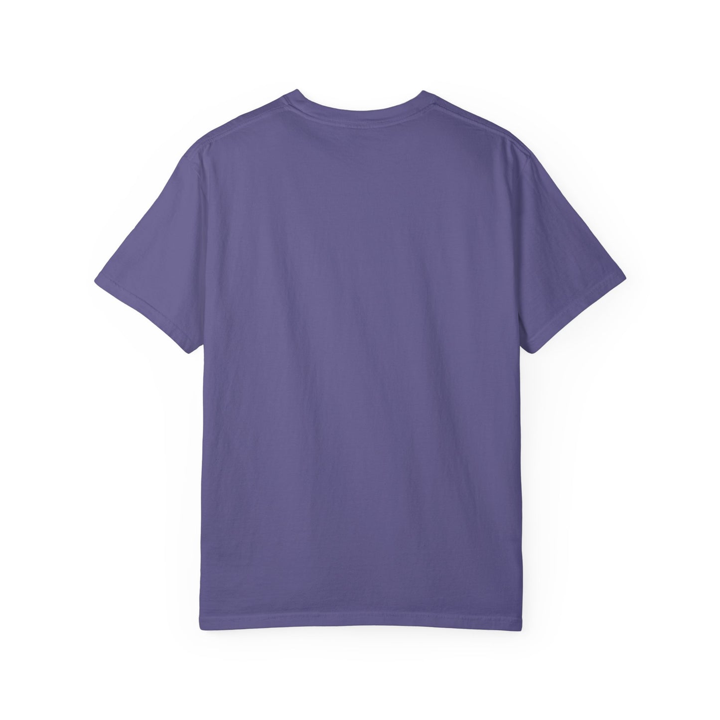 The Sober Life Unisex Garment-Dyed T-Shirt