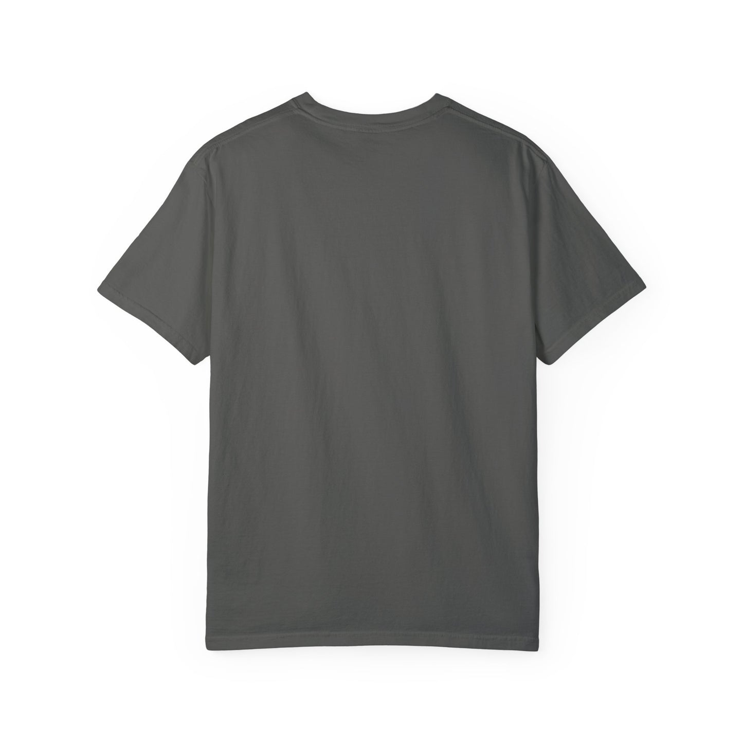 The Sober Life Unisex Garment-Dyed T-Shirt