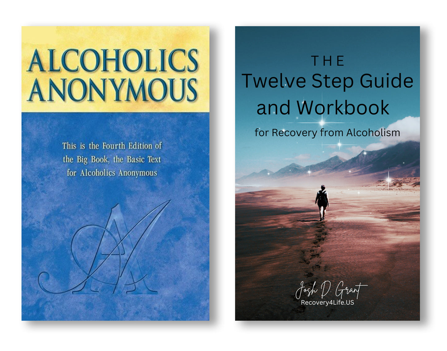 12 Step Recovery Book Bundle: AA Big Book (Hardcover) + The Twelve Step Guide and Workbook by Josh Grant – Recovery Book Set