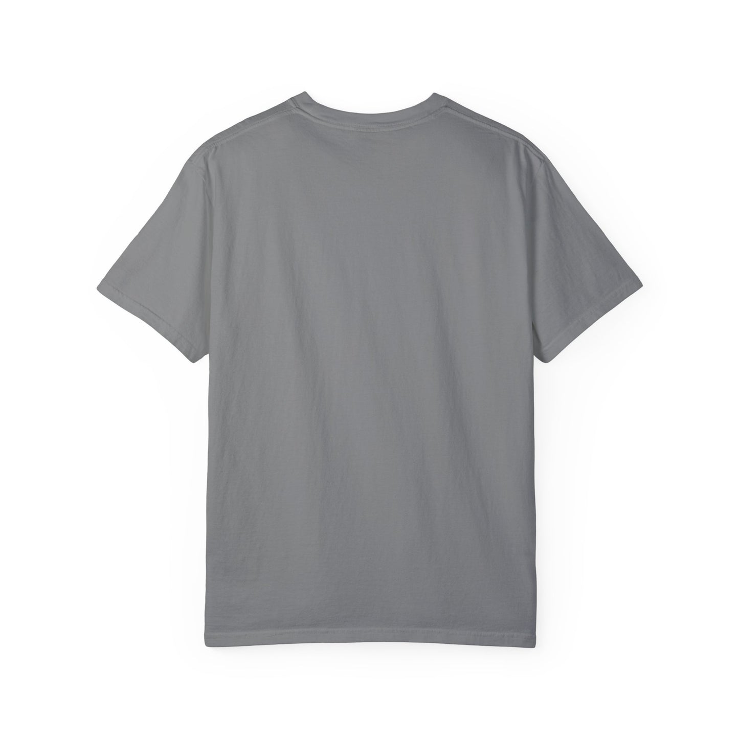 The Sober Life Unisex Garment-Dyed T-Shirt