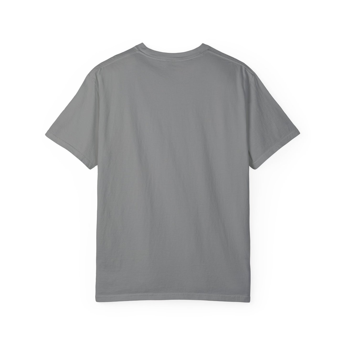 The Sober Life Unisex Garment-Dyed T-Shirt