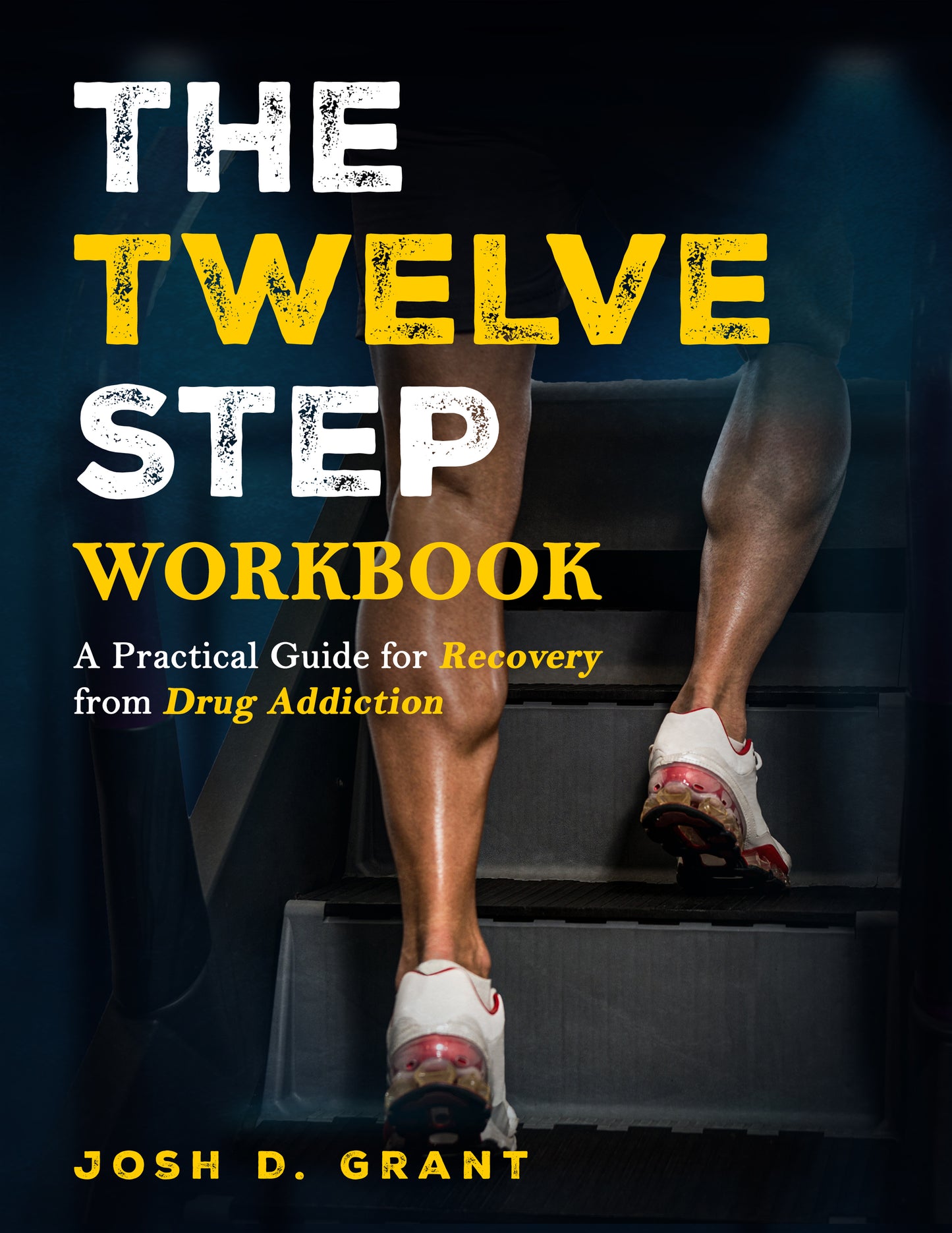 The Twelve Step Workbook: A Practical Guide for Recovery from Drug Addiction by Josh Grant