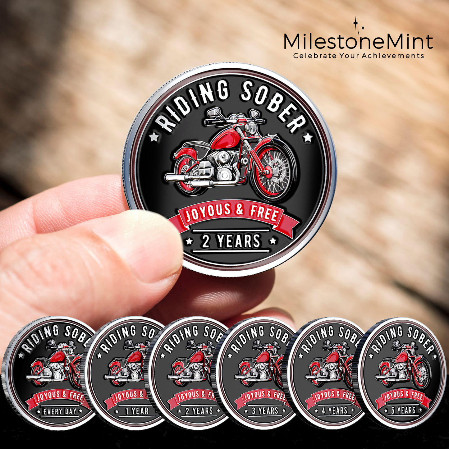 Riding Sober Recovery Affirmation Coin
