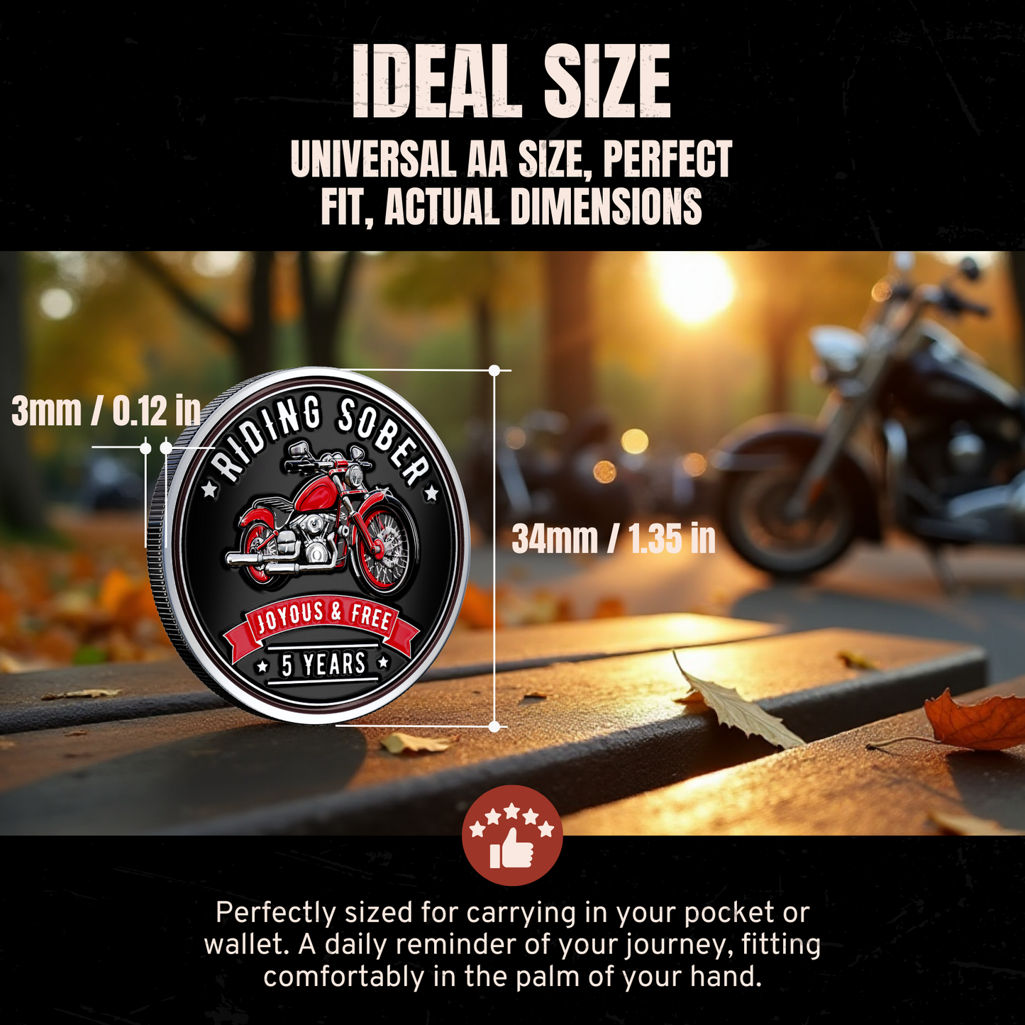 Riding Sober Recovery Affirmation Coin