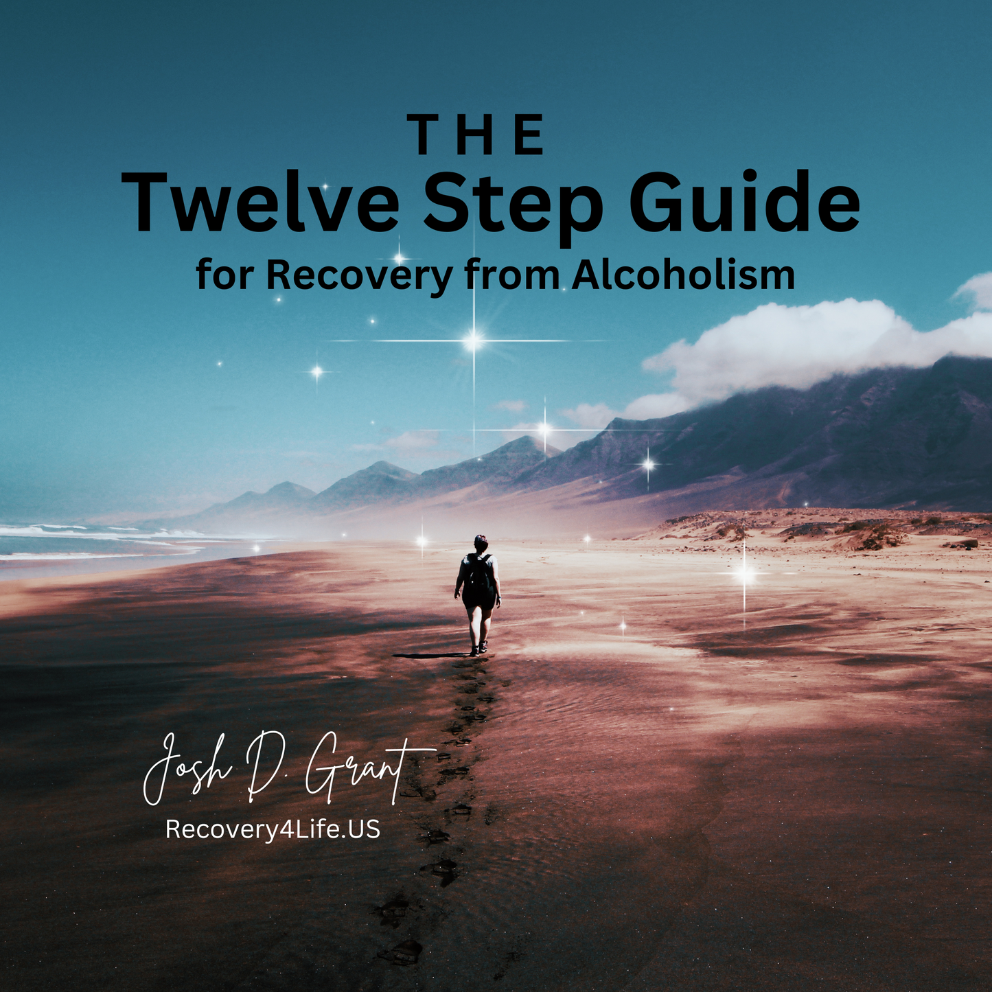 The Twelve Step Guide and Workbook for Recovery from Alcoholism by Josh Grant